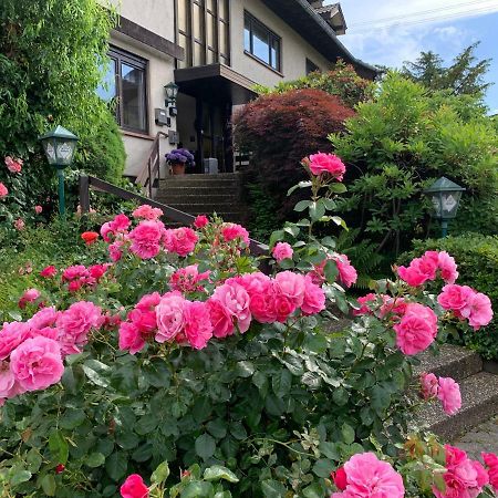 بادن بادن Hotel Roederhof المظهر الخارجي الصورة