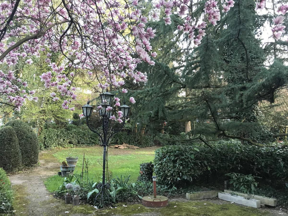 بادن بادن Hotel Roederhof المظهر الخارجي الصورة