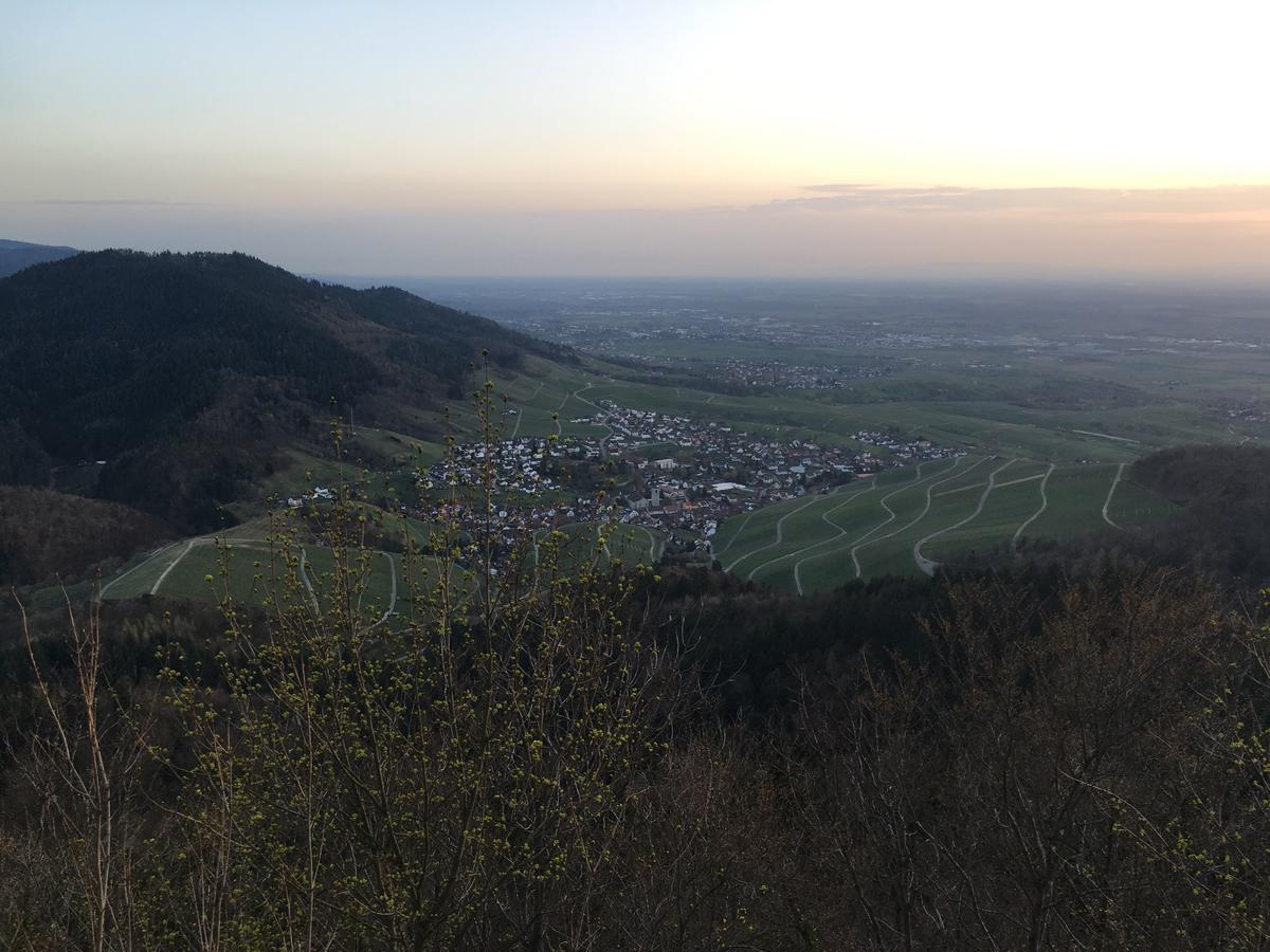 بادن بادن Hotel Roederhof المظهر الخارجي الصورة